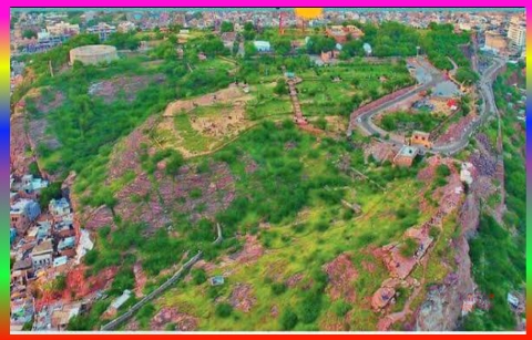 Masuria Hill Garden